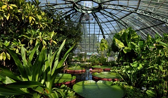 jardin botanique